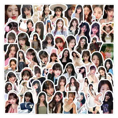 10/50/100PCS IVE JANGWONYOUNG STICKERS